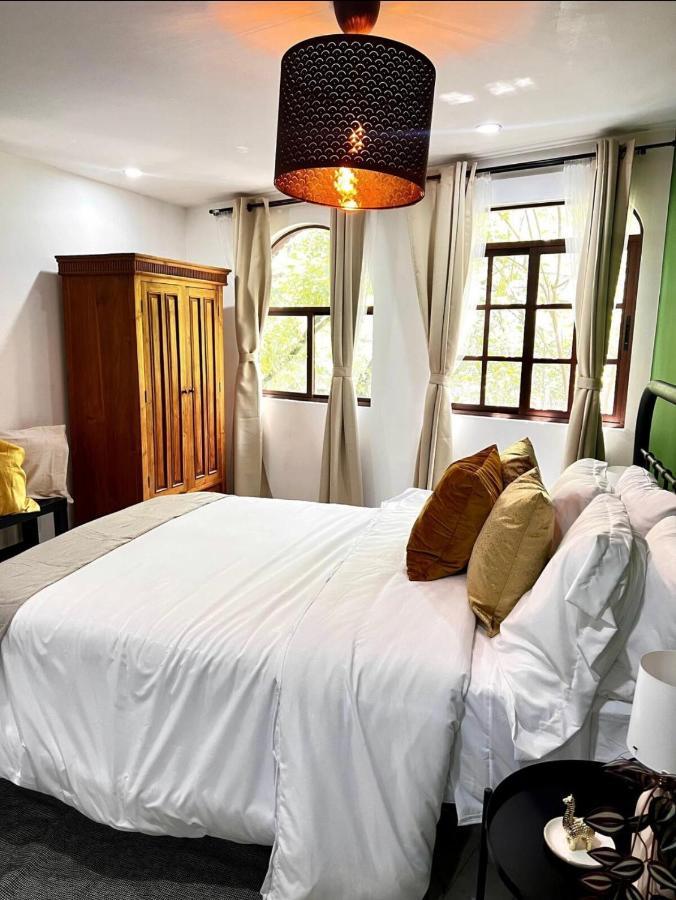Casa Olivo Apartment Mexico City Ngoại thất bức ảnh