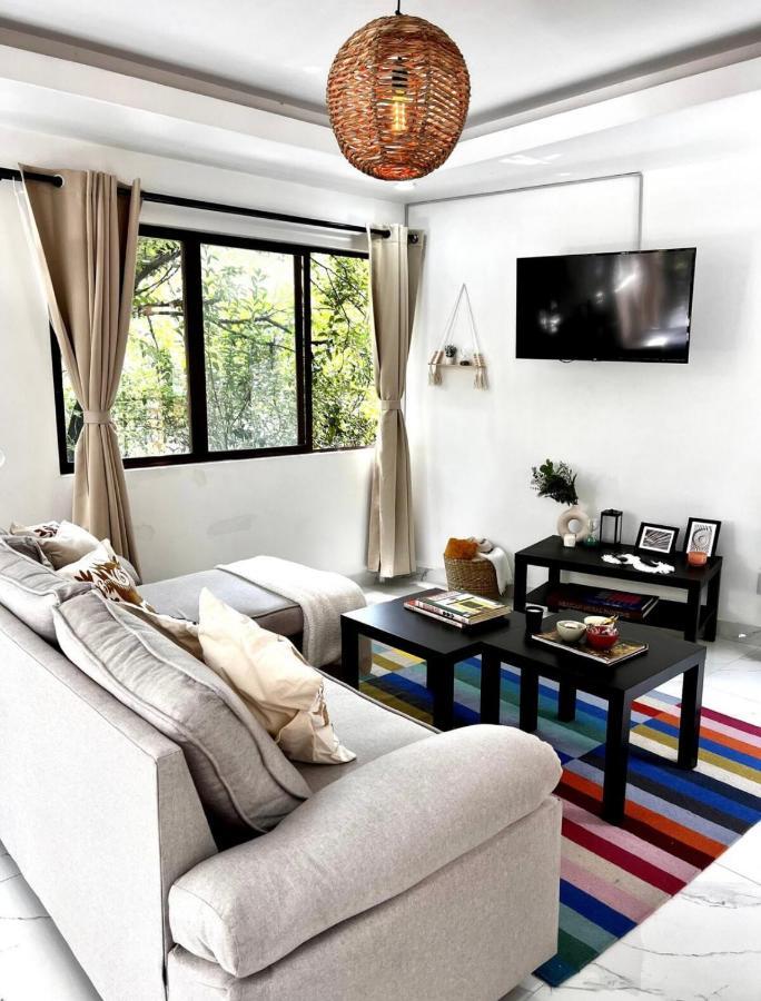Casa Olivo Apartment Mexico City Ngoại thất bức ảnh